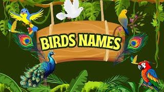 Birds Names and Their Sounds | Kids and Toddlers Learning Video | Brainy Bubble Box