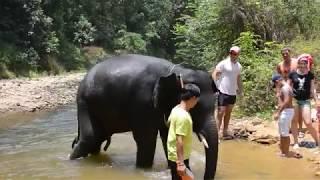 Таиланд Пхукет THAILAND, PHUKET, IBIS PATONG.