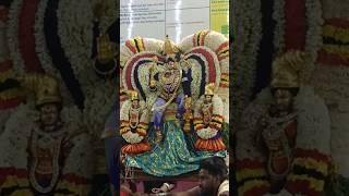 Prasanna Venkatesh Perumal procession #perumaltemple #garuda #kalyana #ulsavam #tirumalaseva #short