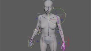 Female Full Body Skeletal Mesh Rig