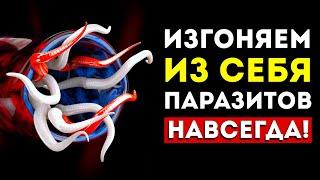 Супер-Еда Против Паразитов! Эти 9 Продуктов Изгонят Любых Глистов