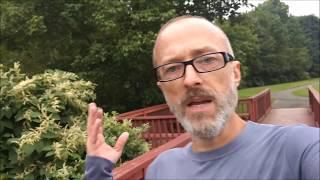 Sage Running 50K Ultra Marathon Training Plan August Miles Report --- Road To Ultra