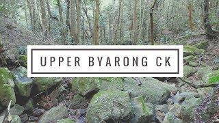 Upper Byarong Creek Adventure, Wollongong NSW Australia | Bushwalk the 'Gong