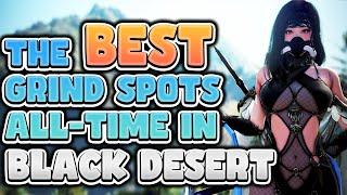 The BEST Black Desert Grind Spots of All-Time!