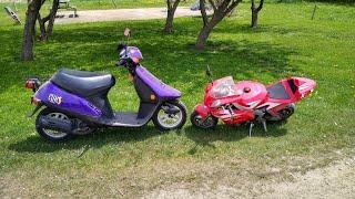 49cc Pocket Bike vs Honda Elite 50cc Moped (Mini-Motorcycle vs Scooter) How FAST Do They Go?