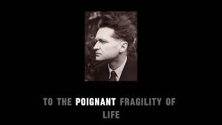 Emil Cioran Life, Works, and Philosophical Insights