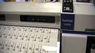 Epson SureColor SC-S30600 - Stampa e Scontorno