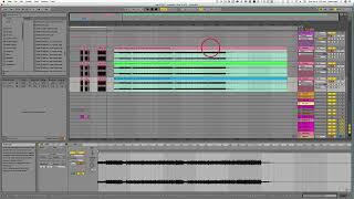 Ableton 11   warping multiple tracks at the same time