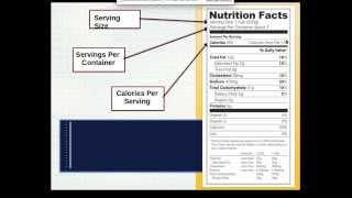 High School Nutrition Unit and Assignments