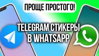 Как перенести стикеры из Телеграм в WhatsApp