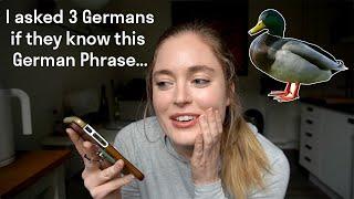 Welcome to My German Language Exchange Session! | How I Speak with Germans for Free Online! 