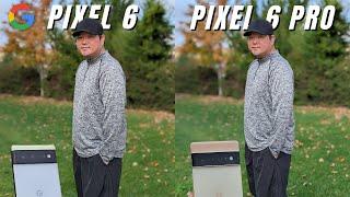 Google Pixel 6 vs Pixel 6 Pro Camera Comparison // $300 difference?!