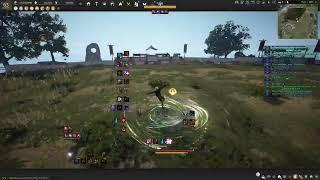 Awakening Maegu Vs Awakening Ninja PVP | BDO