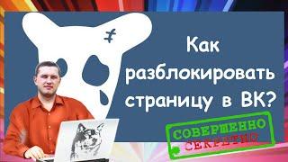 Как разблокировать страницу в вк через номер телефона