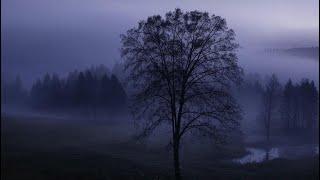 Xovoria - End of the world