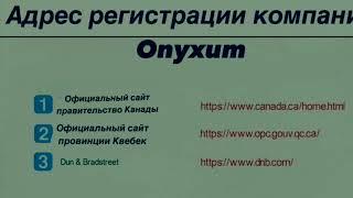 Адрес регистрации компании Onyxum.com