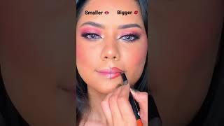 Smaller OR Bigger ?  #smallerlips #biglips #poutylips #lipstick #lipsticks #shorts