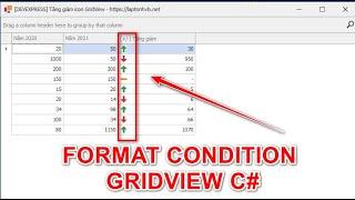 [DEVEXPRESS] How to Format Condition in GridView C#