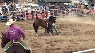 MEAN GREEN - Wild Horse Race - 2021 - Kyle Saskatchewan