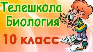 Биология 10 класс. Химический состав клетки