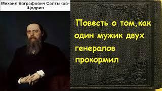 Михаил Салтыков-Щедрин.  Повесть о том, как один мужик двух генералов прокормил аудиокнига