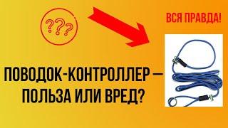 Поводок-контроллер от Антуана Наждаряна - польза или вред? Удавка с фиксатором