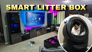 ONE YEAR REVIEW of Litter-Robot 4 by Whisker  - SAVES US SO MUCH TIME