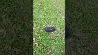 JBL Charge 5 and Flip 6 outdoor test