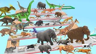 Which Animals vs Dinosaurs Speed Race Run Zigzag Down Course from Outside Animal Revolt Battle