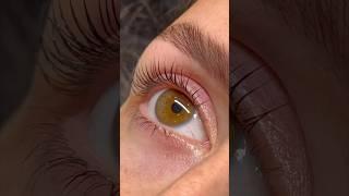 THE ELLEEBANA LASH LIFT