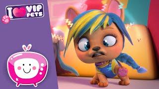  MAI PIÙ LAMENTELE! VIP PETS  Nuovo Episodio  VIDEO e CARTONI ANIMATI per bambini in ITALIANO