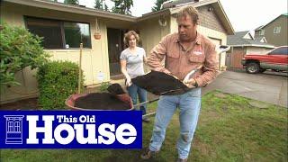 How to Fix a Patchy, Weedy Lawn | This Old House