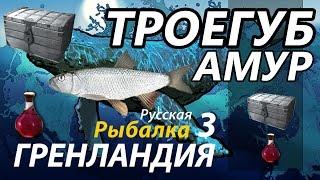 Троегуб Амур / РР3 [Русская Рыбалка 3 Гренландия]