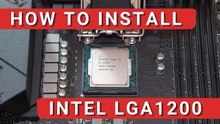 How To Install Intel LGA 1200 CPU