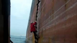 Pilot boarded huge ship after typhoon