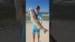 Big Fish Caught from beach!