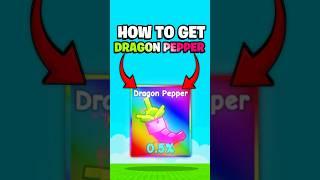 How to get the DRAGON PEPPER ️