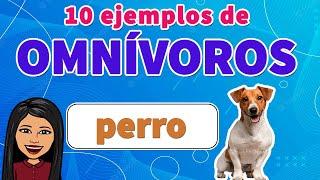 10 Ejemplos FÁCILES Animales Omnívoros I ANIMALES OMNÍVOROS EJEMPLOS I Para tu TAREA FÁCIL