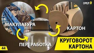 Круговорот картона. Переработка макулатуры и завод за 1 миллиард. Деньги из мусора.