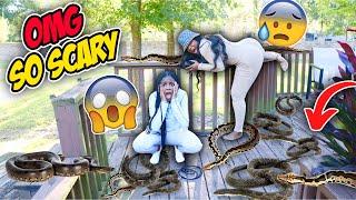 WE FOUND SNAKES IN OUR HOUSE!! SNAKE ATTACK