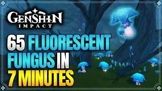 Fluorescent Fungus Locations | Fast and Efficient Route | Ascension Materials |【Genshin Impact】