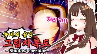 Watch out! Beginner raid | Shadow Corridor Highlight | KingJi【Vtuber】