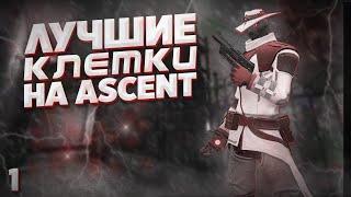 ЛУЧШИЕ ONEWAY КЛЕТКИ НА ASCENT || VALORANT