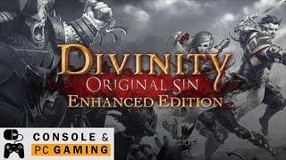 Divinity Original Sin Enhanced Edition #1