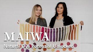 Print & Paint with Natural Dyes - Workshop Trailer