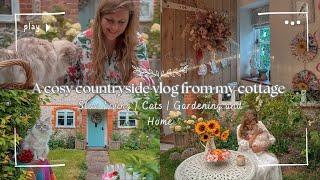 A cosy countryside vlog from my cottage and kitchen renovation update | Episode 1