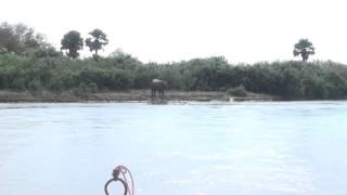 Rufiji River