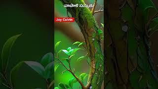 Annikalambula | M.M.Sriklekha | Bethaala John | Joy Calvin | Andhra Christava Keertanalu