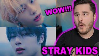 Stray Kids ＜ (5-STAR)＞ UNVEIL : TRACK 1 "DLC" REACTION