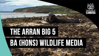 The Arran Big 5 | BA (Hons) Wildlife Media | University of Cumbria